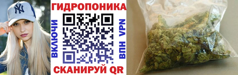 Все наркотики Снежинск Псилоцибиновые грибы  Мефедрон  кракен рабочий сайт  Канабис 