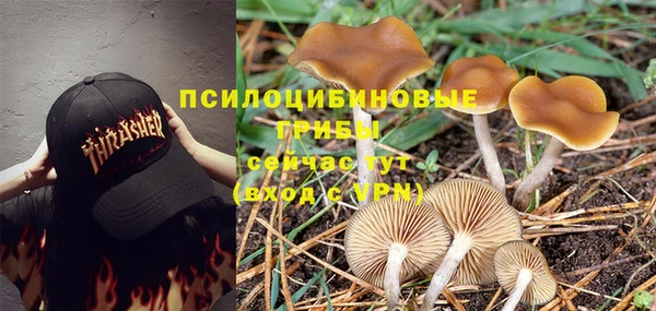 шишки Ростов