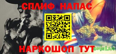 PSILOCYBIN Нальчик