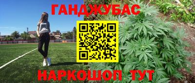PSILOCYBIN Нальчик