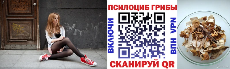 Псилоцибиновые грибы GOLDEN TEACHER  Снежинск 