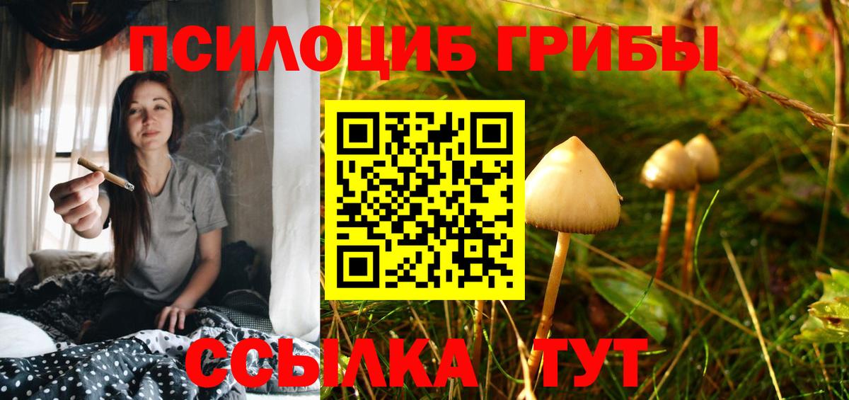 Снежинск  Галлюциногенные грибы мухоморы  Вход с VPN 