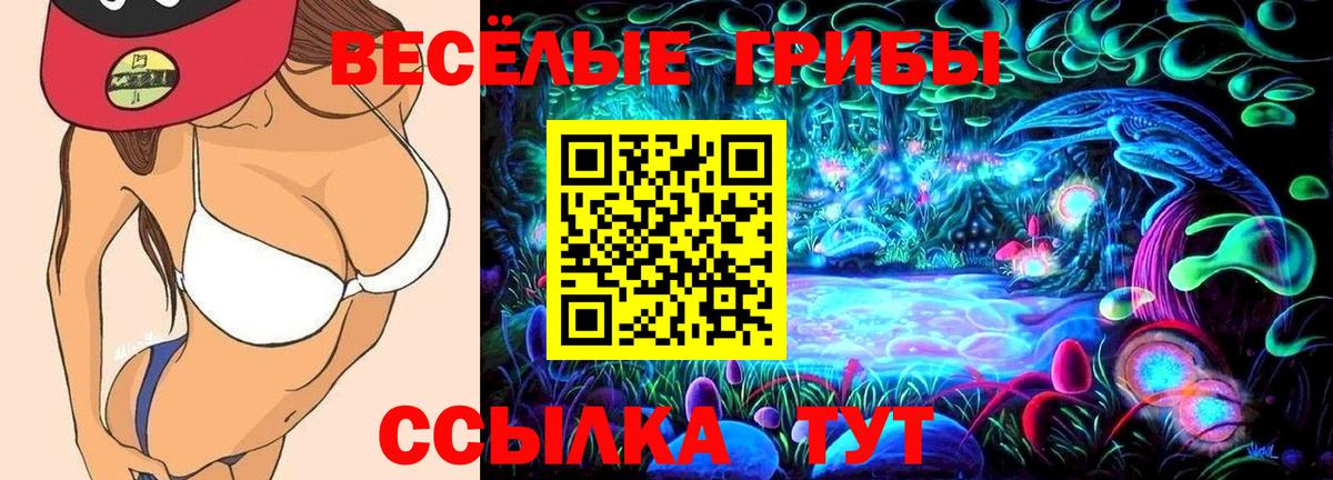 Галлюциногенные грибы Psilocybe Снежинск